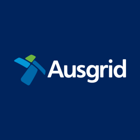 Ausgrid Electricity Safety Navy